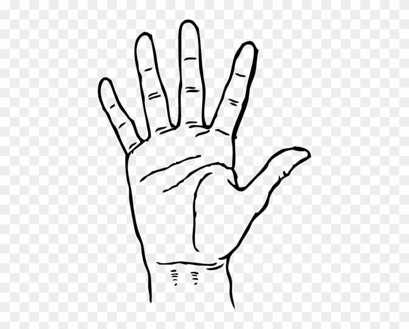 Child Hands Clipart - Creases Of The Hand #283870