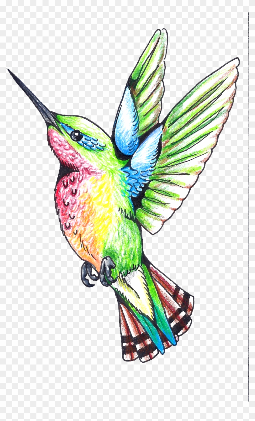 Hummingbird Tattoos Png Clipart - Hummingbird #284038