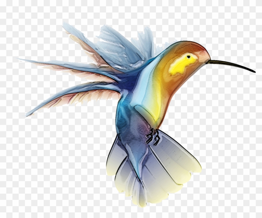 Hummingbird Clipart Png Image - Native American Hummingbird Symbol #284047