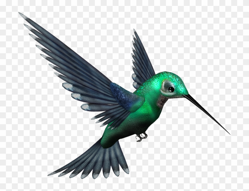 Hummingbird Free Download Png - Humming Bird Png #284069
