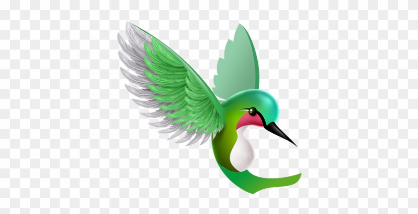 Though Spring Came To My Area Many Weeks Ago, I Saw - Hummingbirds Clip Art #284081