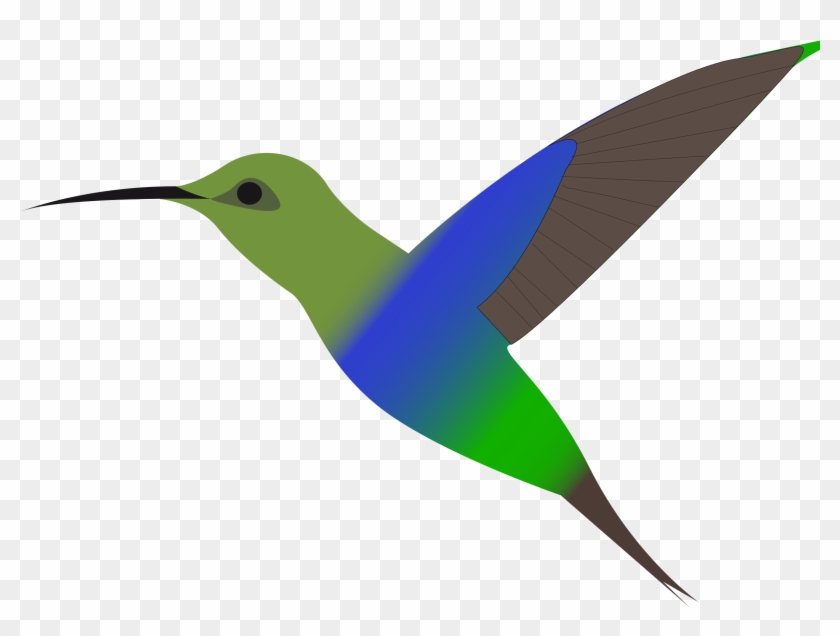 Clipart Humming Bird Hummingbird Clipart - Desenho De Beija Flor Colorido #284096