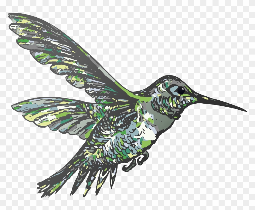 Httpwwwpageinsidercom - Httpwwwpageinsidercom - Hummingbird #284150