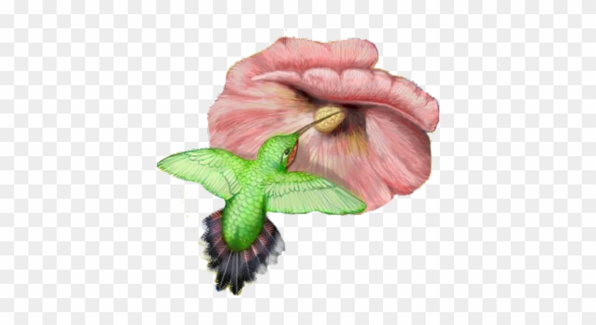 Photo Hummingbird Tattoos Clipart Png Images - Hummingbird #284168