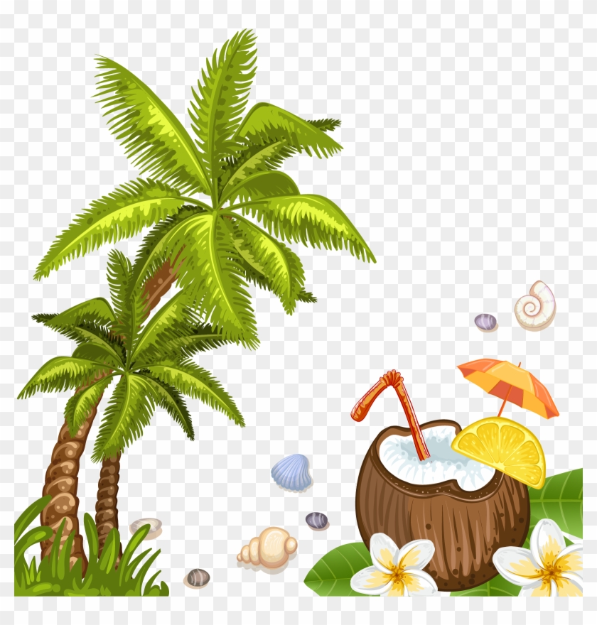 Coconut Water Beach Arecaceae - Summer Beach Background Clipart - Free  Transparent PNG Clipart Images Download