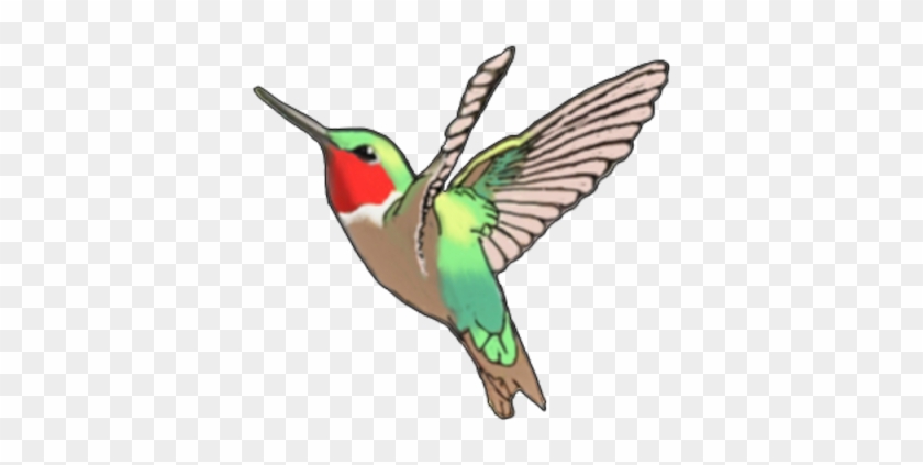 Hummingbird Tattoos Cut Out Png Images - Ruby-throated Hummingbird #284198