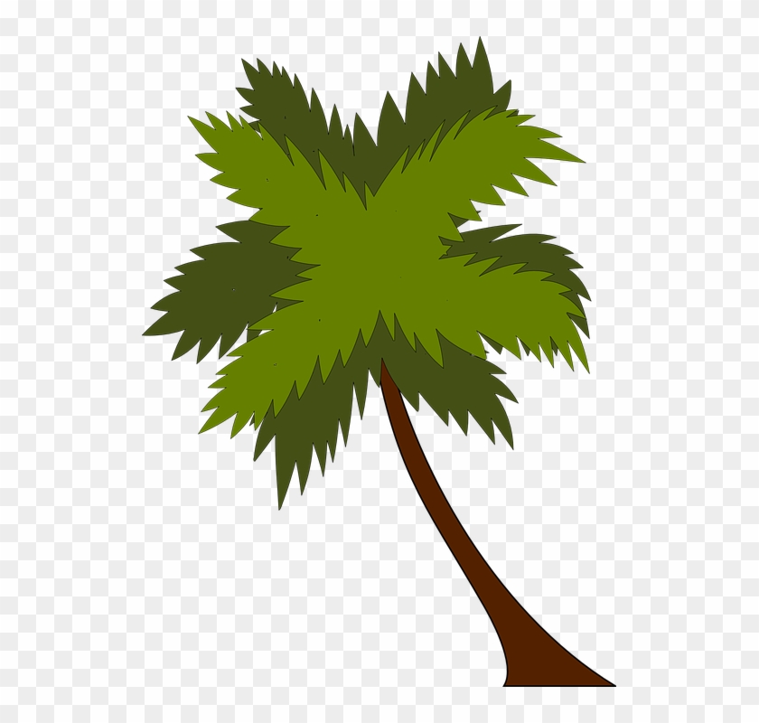 Palm Tree, Palm, Tree, Beach, Vacation, Tropical - Arbol De Playa Png #284277