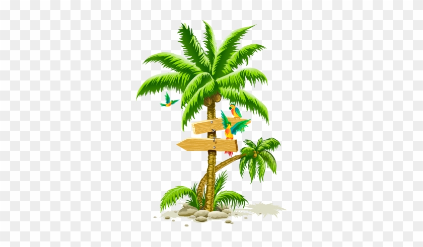 Beach Coconut Tree Png #284304