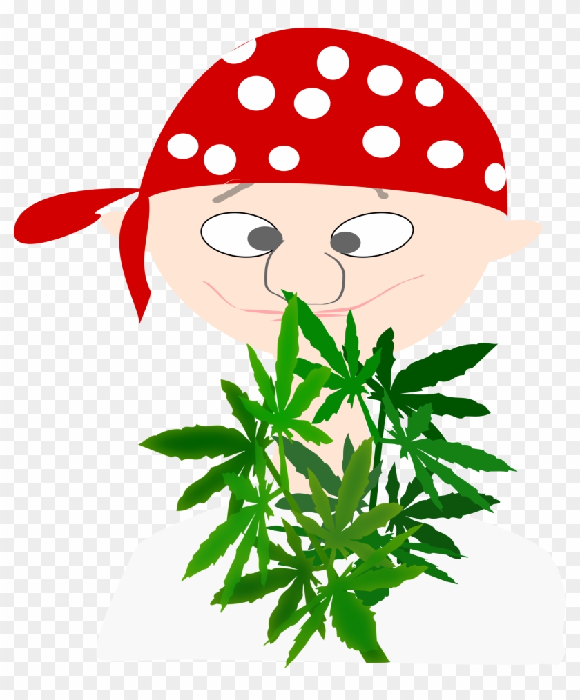 Herb Botanist Mj 999px 277 - Png Kartun Marijuana #284353