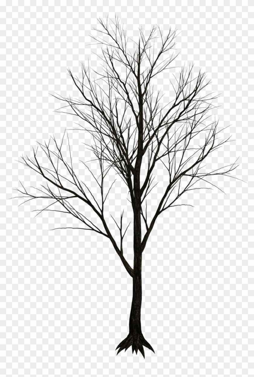 Free Illustrations On Pixabay - Dry Tree Png #284355
