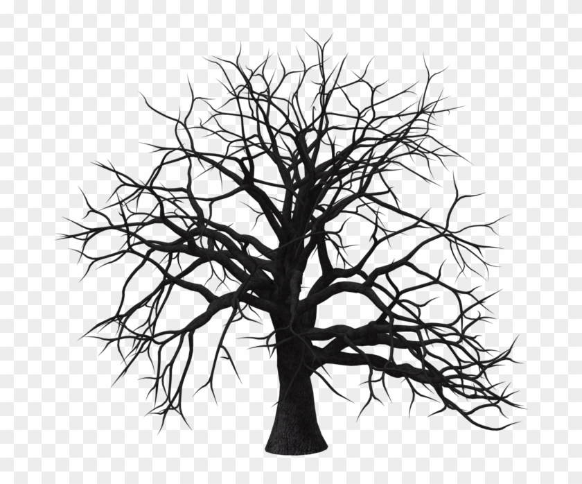Tree 06 By Free Stock By Wayne - Genealogy #284370