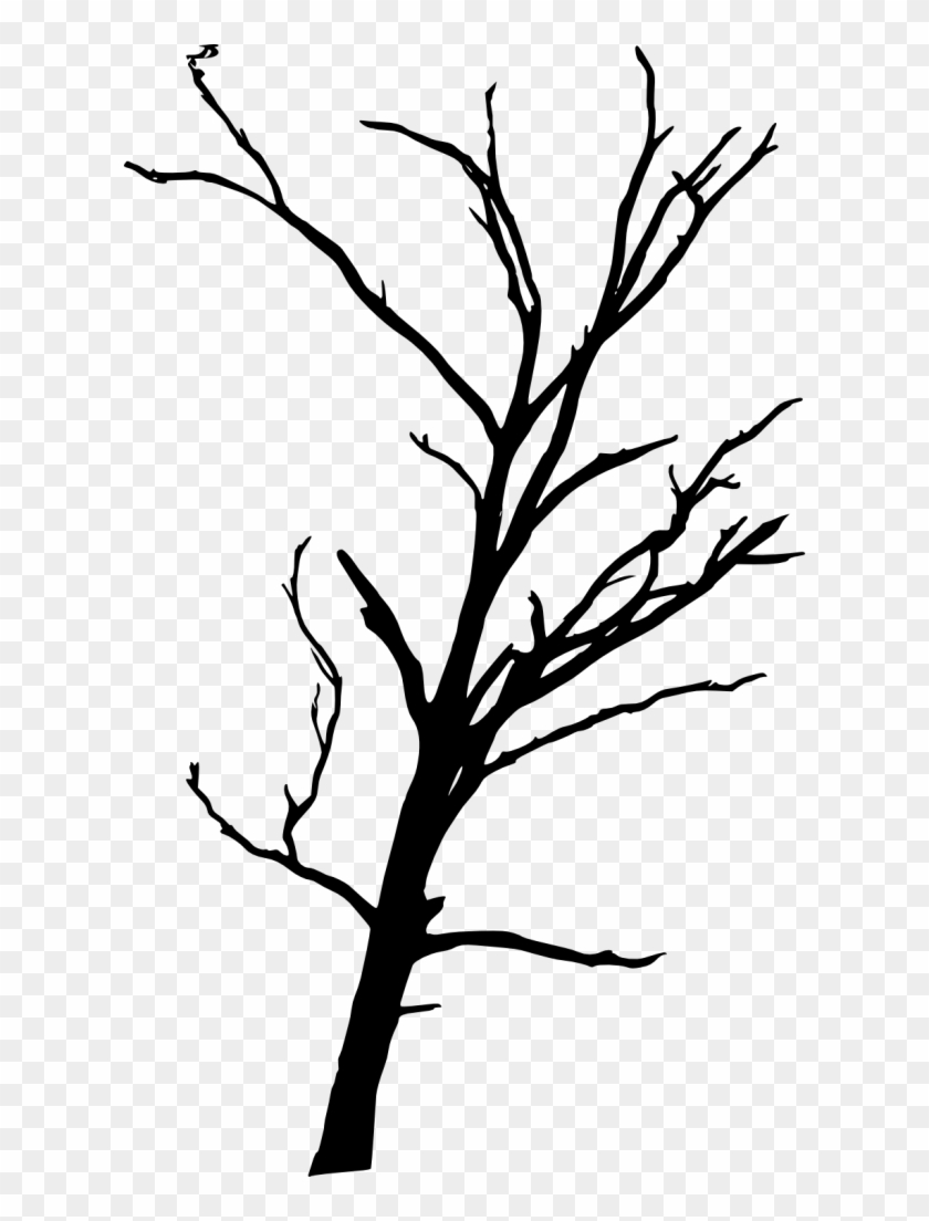 17 Dead Tree Silhouette - Portable Network Graphics #284396