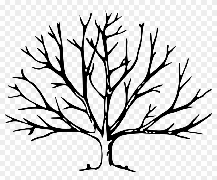 Dead Tree Clipart Big - Tree In Winter Clipart #284430