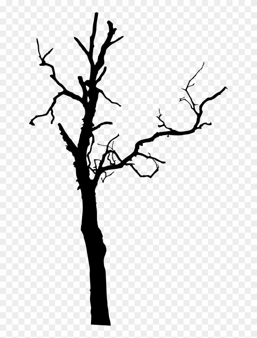 575 × 1500 Px - Dead Tree Silhouette Png #284482