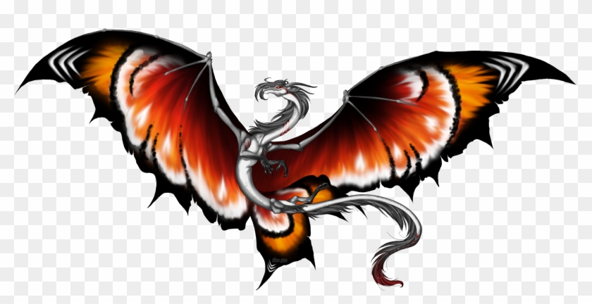 Butterfly Dragon - Google Search - Butterfly #284519