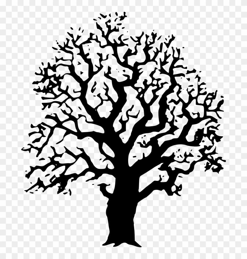 Black And White Oak Tree Clipart - Laser Cut Tree Vector #284534