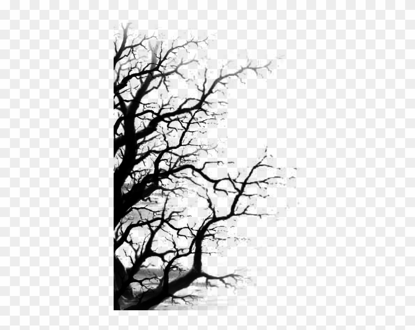 Stock Dead Tree By Jassy2012 - Tree Water Color Black #284539