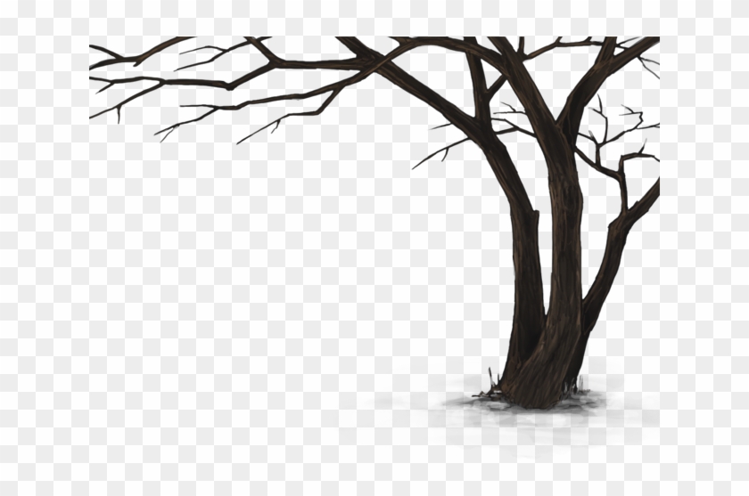 Dead Tree Hd Png #284551