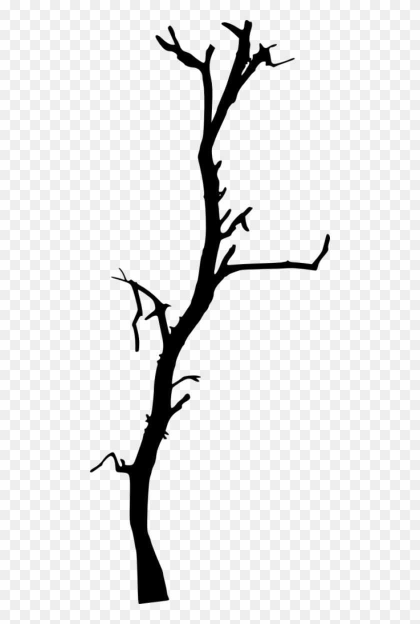 616 × 1500 Px - Dead Tree Silhouette #284574