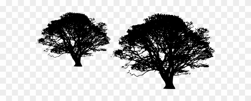 Dead Tree Clipart Transparent Background - Black Tree Transparent Background #284603