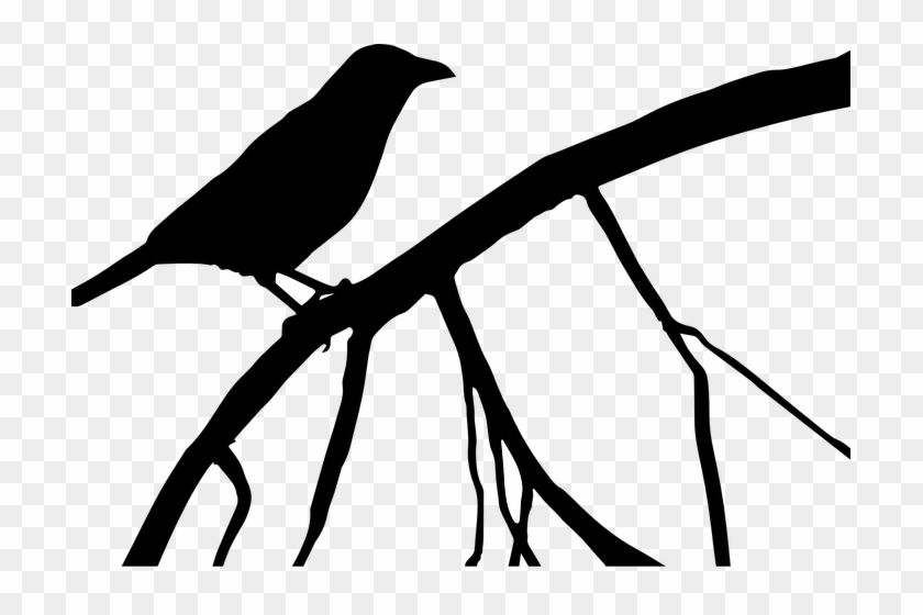 Crow, Raven, Bird, Black, Dark, Animal, Halloween - Birds Daphne Du Maurier Pdf #284614