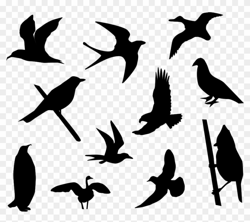 Design Clipart Bird - Bird Silhouette Vector Free #284671