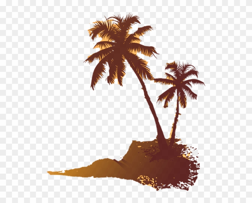 Image Is Not Available - Rum Palm Tree Png #284697