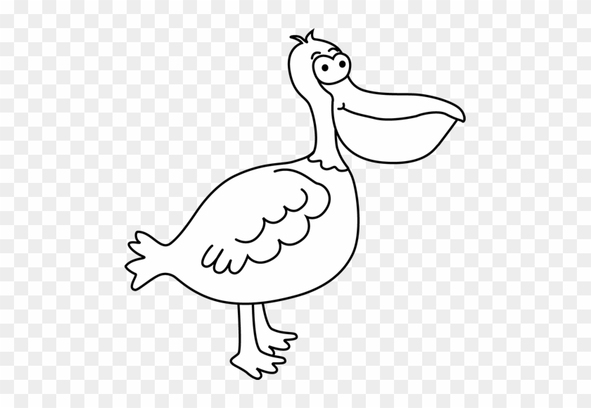 Black And White Pelican - Black And White Pelican #284710