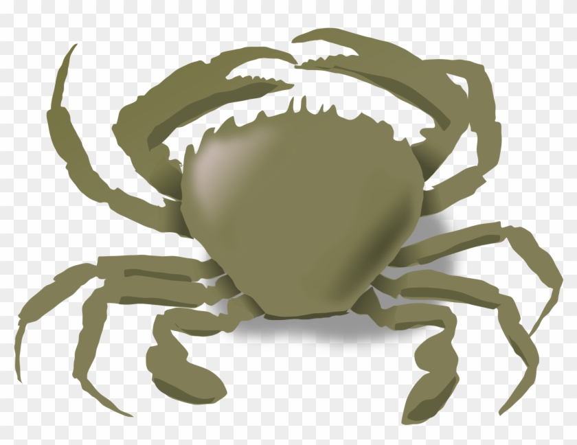 Crabs, Summer, Beach, Animals, Crab, Sea Life, Food, - Animals Live In Water And Land #284727