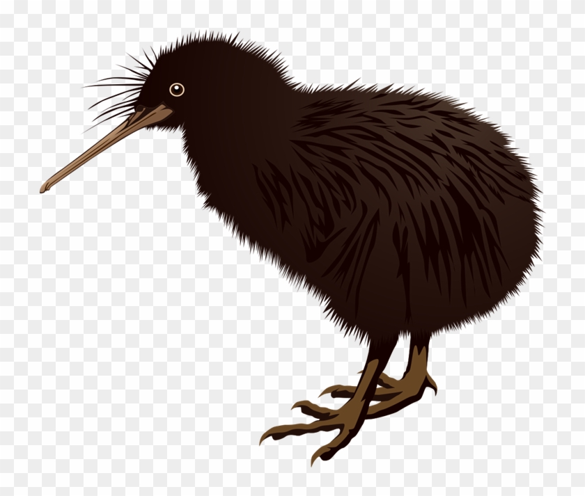 Free Kiwi Bird Clip Art - New Zealand Kiwi Png #284737