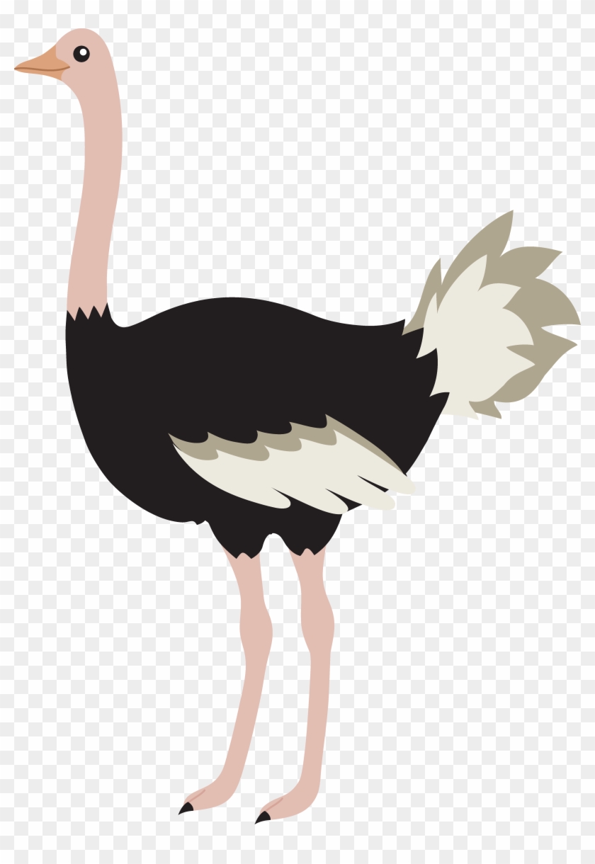 Bird Clipart Ostrich - Ostrich Clipart Png #284754