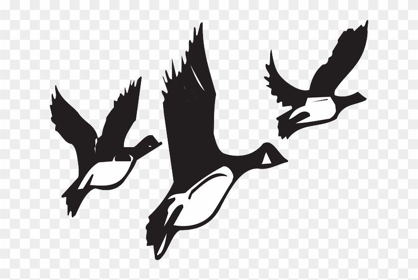 Migrating Birds Clipart Clip Art Library - Birds Migrating Black And White #284741