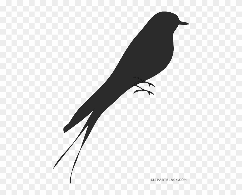 Love Birds Animal Free Black White Clipart Images Clipartblack - Bird #284769