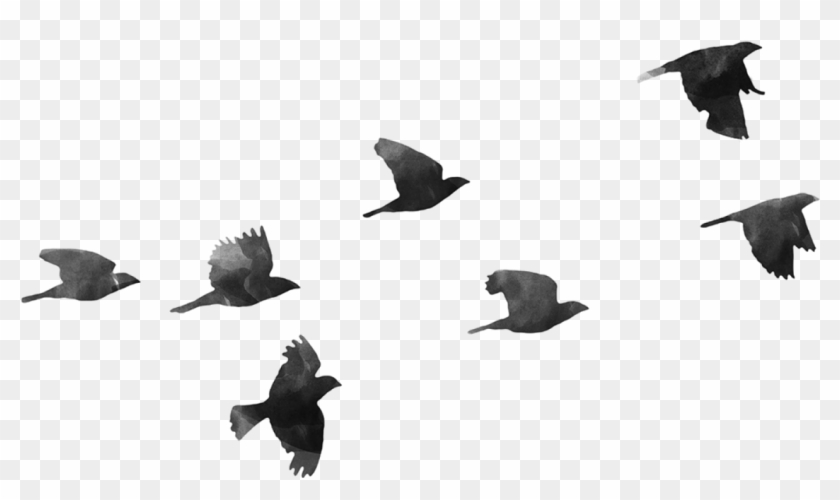 Flock Of Birds Clipart Transparent Birds Png Free Transparent Png Clipart Images Download,Garage Door Opening On Its Own