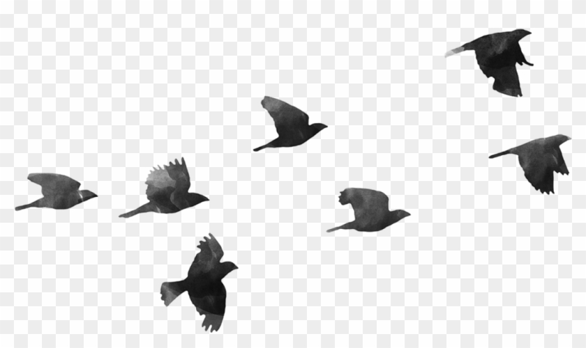 Flock Of Birds Clipart Transparent - Birds Png #284804