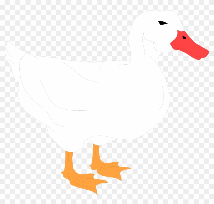 White Duck Clipart Transparent #284838