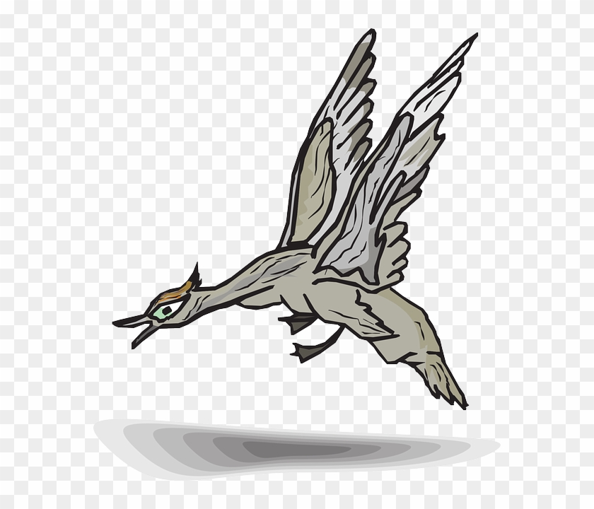 Bird, Duck, Wings, Animal, Landing, Feathers - Bird, Duck, Wings, Animal, Landing, Feathers #284870