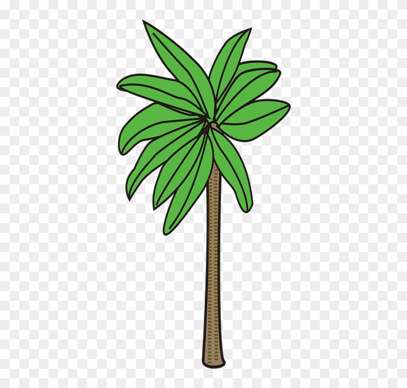 Tropical Flower Clipart 22, Buy Clip Art - Palm Trees #284878