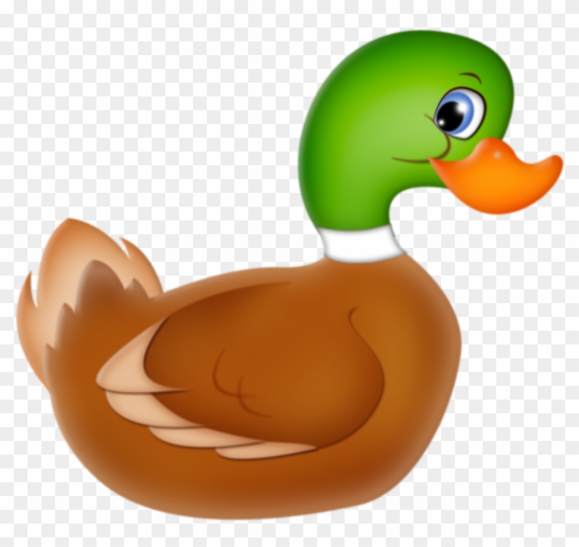 Mallard Duck * - Kačka Clipart #284987