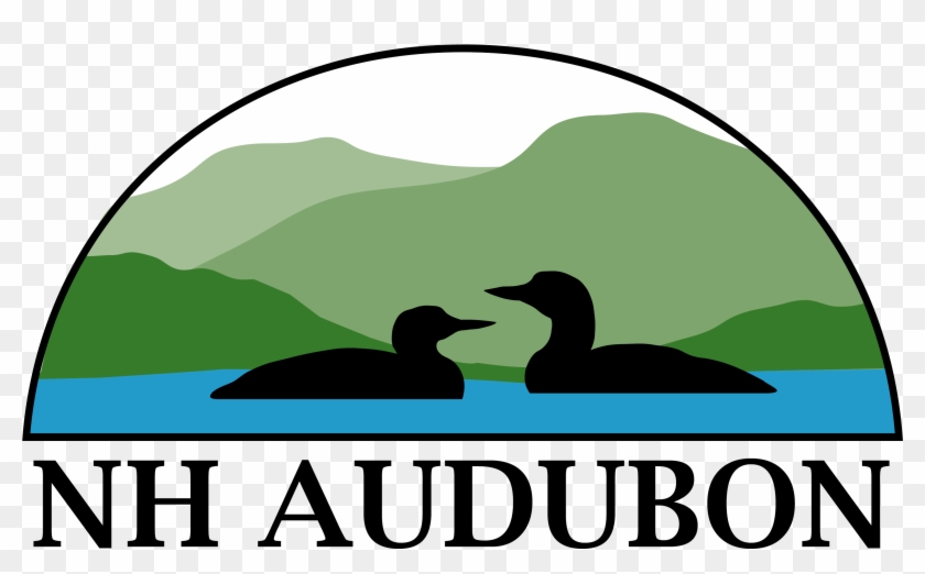 New - New Hampshire Audubon Massabesic Center #285034