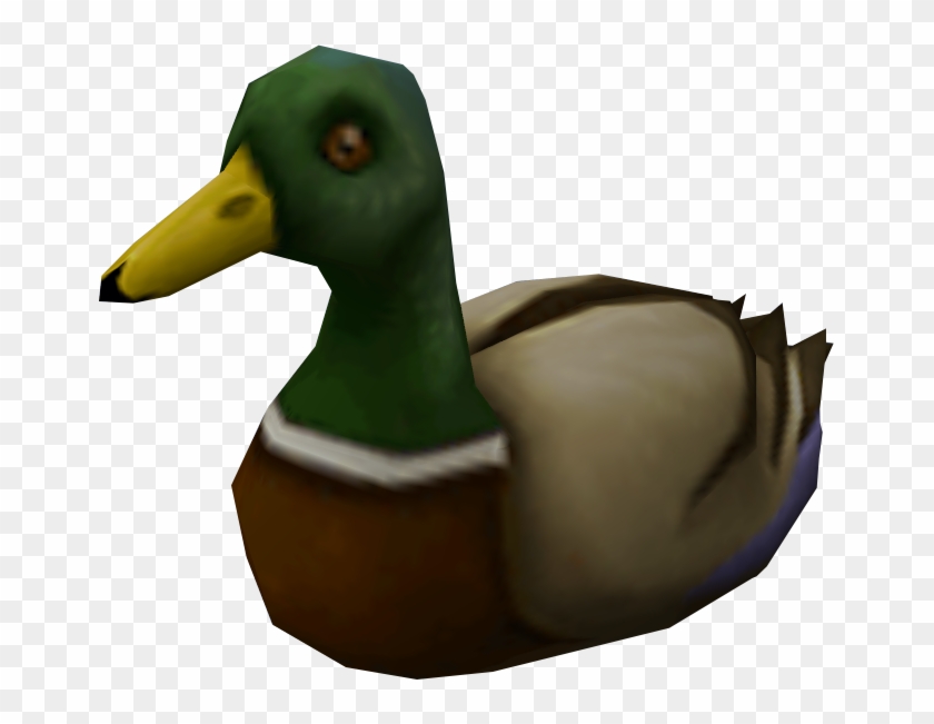 Duck - Mallard #285046