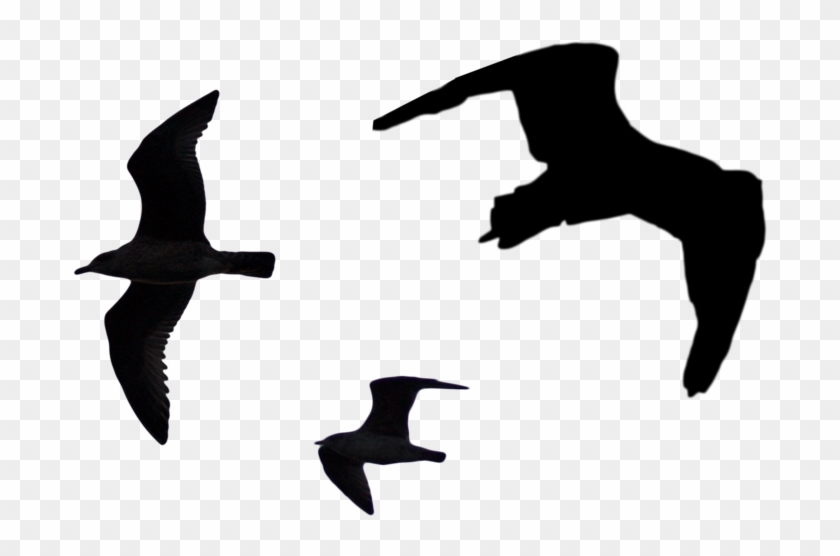 Bird Silhouette Png Pack - Siluet Bird Png #285047