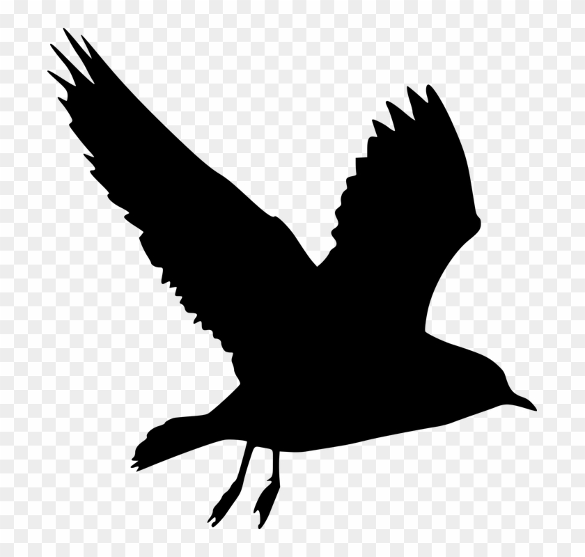 Silhouette, Bird, Peace, Dove, Flying, Olive, Branch - Silüeet Güvercin #285065