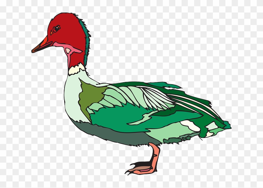Green, Bird, Duck, Wings, Animal, Feathers, And - Green And Red Duck #285125