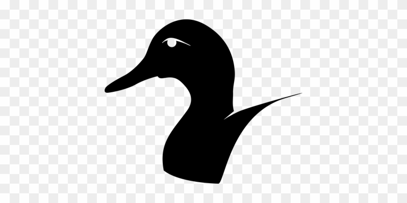 Bird Contour Duck Icon Silhouette Symbol D - Duck Head Png #285138