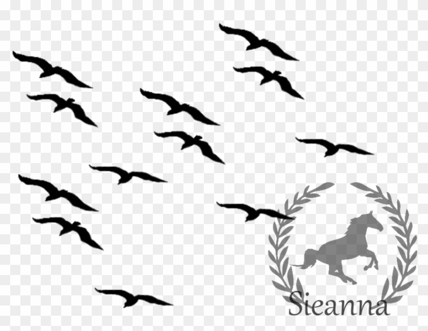 Black Birds Flying Set 2 By Sieannaboo On Deviantart - Baltimore Pride, Grey And Purple Distressed Crest.... #285143