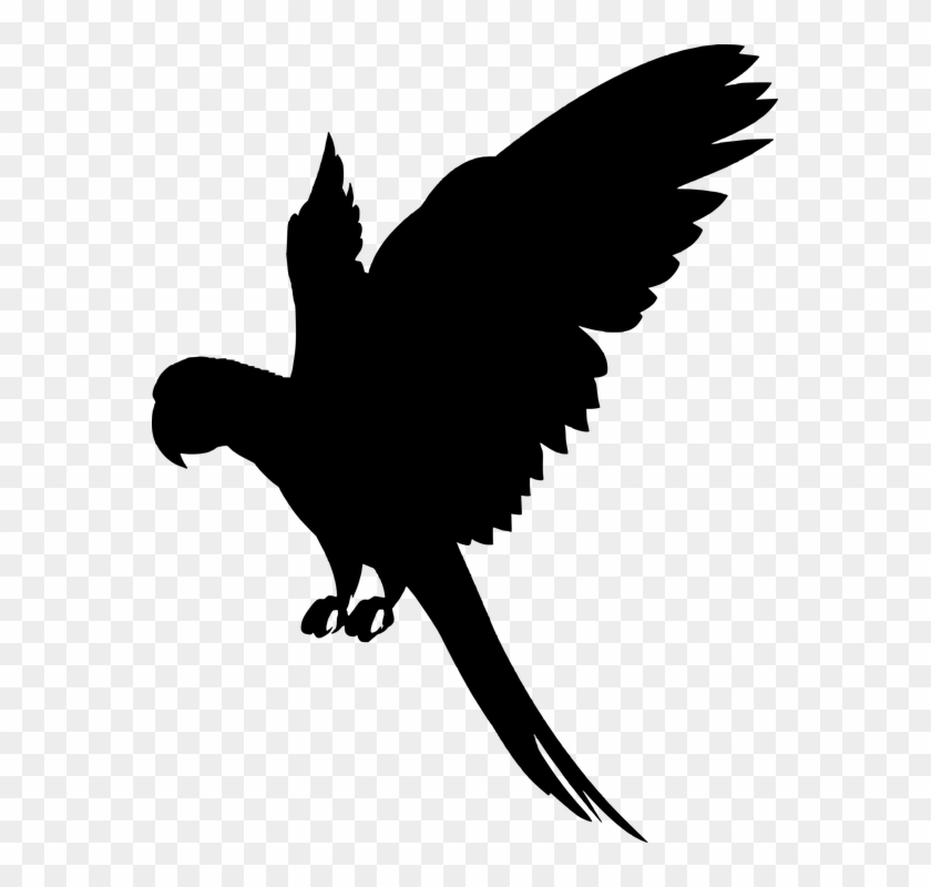 Silhouette, Parrot, Fly, Bird, Wing, Animal - Parrot Flying Clipart Png #285177