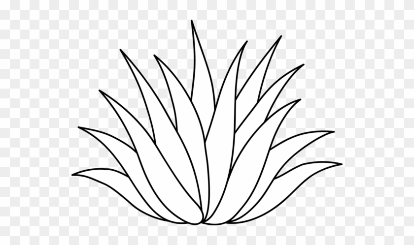 Free Lotus Flower Png Download - Aloe Vera Plant Clipart #285250