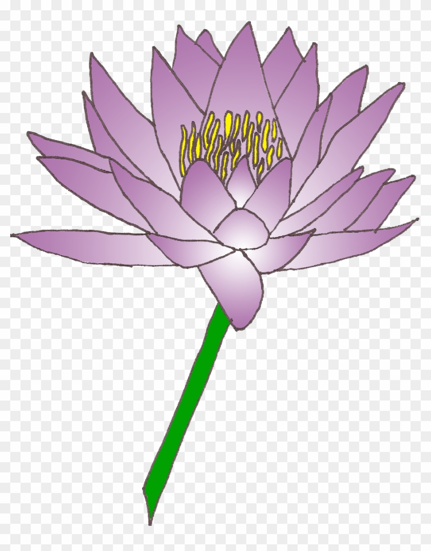 Lily Free Flower Clipart Image - Clip Art Lily Flower #285334