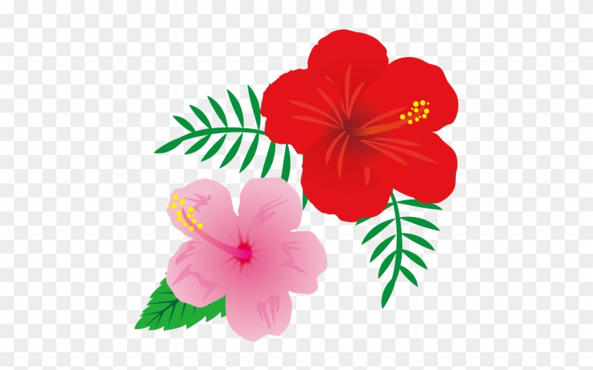 ハイビスカスの花イラスト - Hawaiian Hibiscus #285356